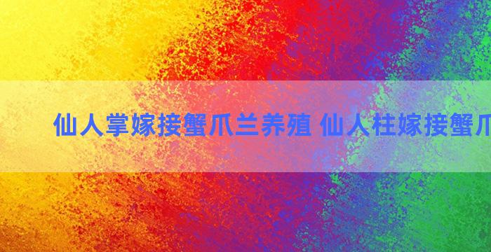 仙人掌嫁接蟹爪兰养殖 仙人柱嫁接蟹爪兰教程